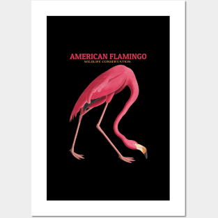 American Flamingo Wildlife Conservation Posters and Art